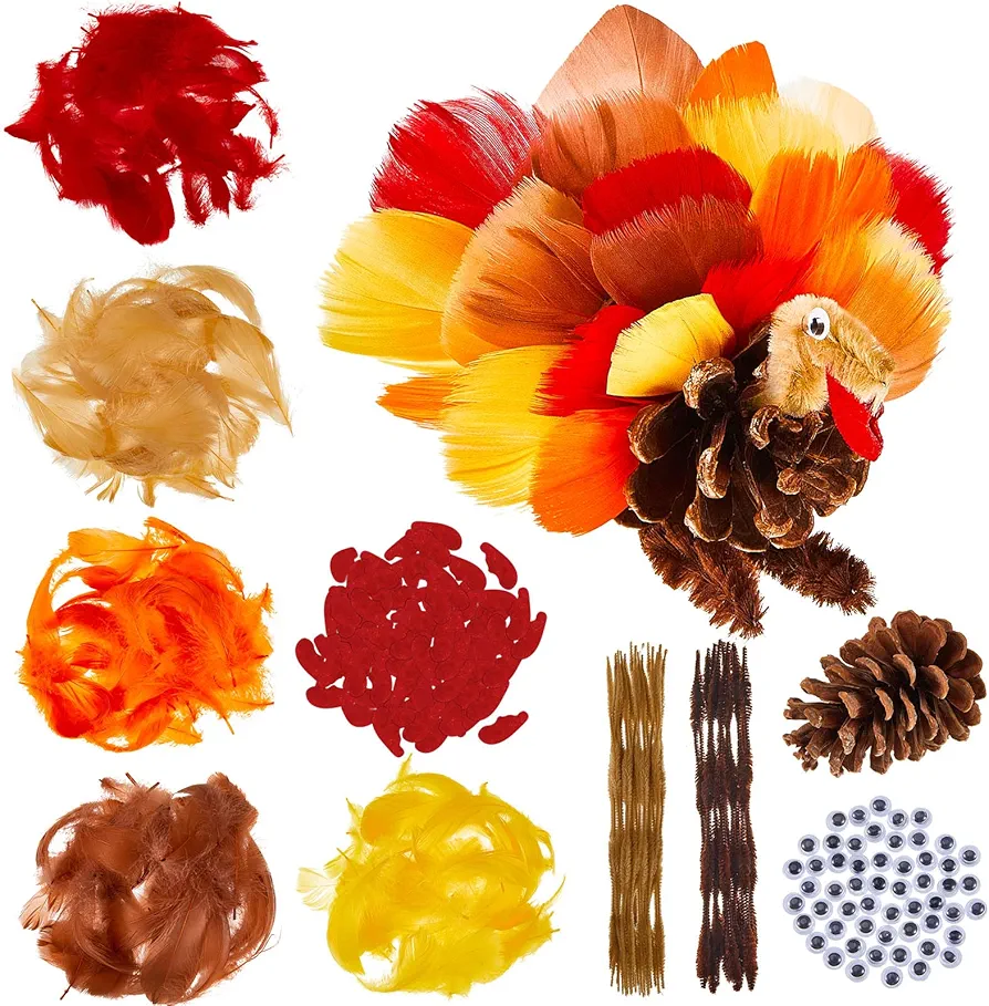 Deekin 15 Sets Thanksgiving Turkey Craft Kit, Thankful Pinecone Felt Craft with Colorful Feathers DIY Making Kit Preschool Autumn Activities Party Favors Decoration Supplies for Kids Toddlers