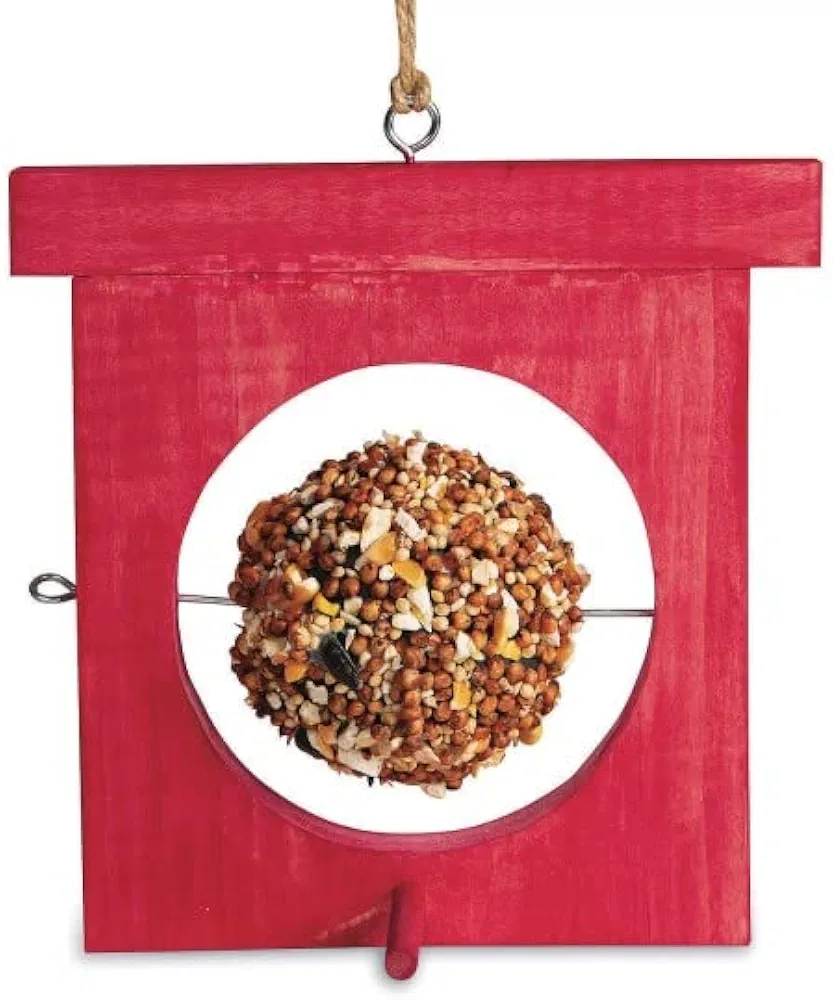 Kids Make Your Own Apple Bird Feeder Unfinished Wood Craft Project Kit - T164