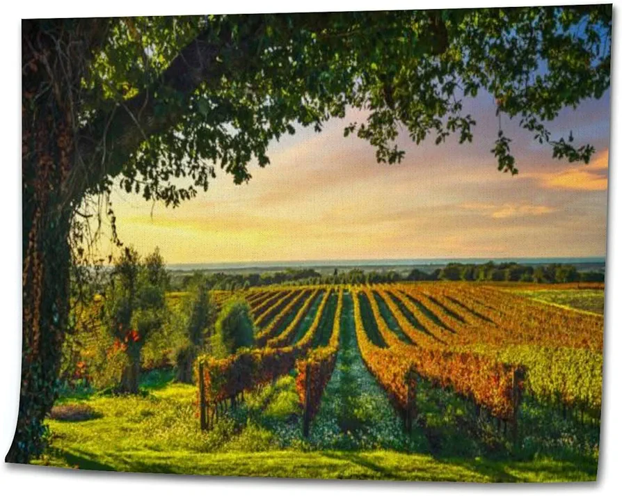 OEPWQIWEPZ Bolgheri Vineyard a Tree at Sunset Maremma Tuscany Italy DIY Digital Oil Painting Set Acrylic Oil Painting Arts Craft Paint by Number Kits for Adult Kids Beginner Children Wall Decor