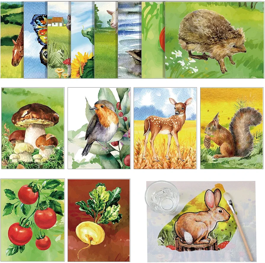 20 Pcs Dementia Products for Elderly Seniors Reusable Water Painting Toys Painting Color Kids Adults with 1 Pc Painting Brush Dementia Activities Farm Themed Water Doodle Coloring Set Drawing Gifts
