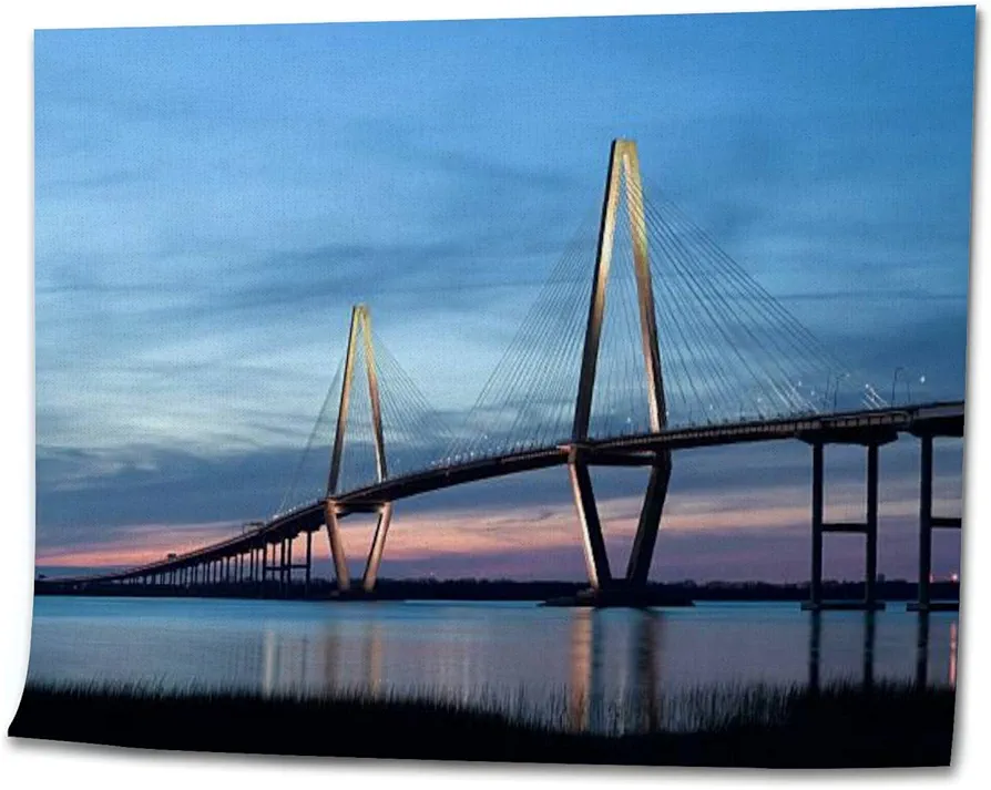 OEPWQIWEPZ Ravenel Bridge Cooper River Bridge DIY Digital Oil Painting Set Acrylic Oil Painting Arts Craft Paint by Number Kits for Adult Kids Beginner Children Wall Decor